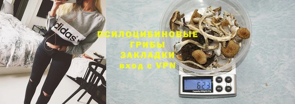 ГАЛЛЮЦИНОГЕННЫЕ ГРИБЫ Абаза