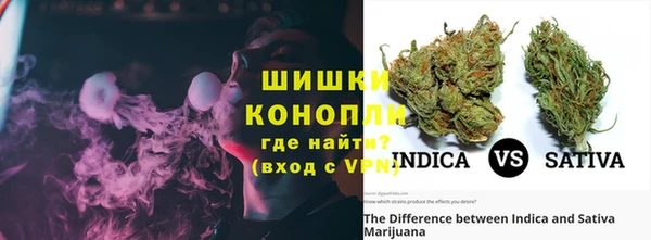 ГАЛЛЮЦИНОГЕННЫЕ ГРИБЫ Абаза