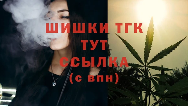 ГАЛЛЮЦИНОГЕННЫЕ ГРИБЫ Абаза